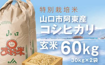 B004 特別栽培米阿東産コシヒカリ玄米60kg