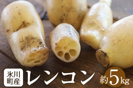 yF{X쒬zR 5kg F{X쒬Y ̉wks11{-3oׁt @  ҂ F{X쒬---sh_cmitiren_cf113_r7_16500_5kg---