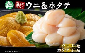 3098. 訳あり うに チリ産 冷凍 ほたて ウニ 100g 帆立 300g 雲丹 不揃い うに わけ あり 海鮮 丼 海鮮丼 刺身 うに丼  自宅用 送料無料 北海道 弟子屈町 