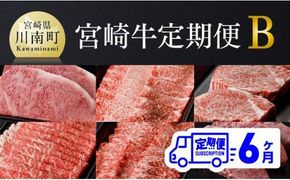 【定期便】宮崎牛６ヶ月定期便Ｂ【肉 牛肉 国産 黒毛和牛 肉質等級4等級以上 4等級 5等級 ミヤチク ステーキ 焼肉 全６回 定期便 】[D00683t6]