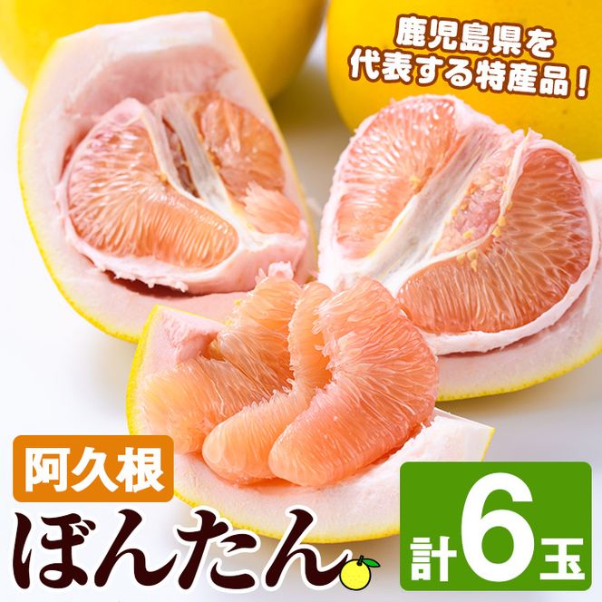 yvszs\tI2025N12{ȍ~\聄vڂ񂽂(LTCYE6ʓ) vs {^ U k ʕ t[c VN { Yi  BY Y ԌyוHizakn007-03