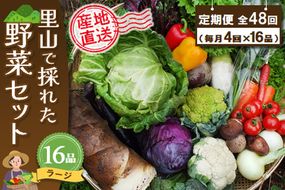 年間定期便48回 里山で採れた野菜セットラージ 16品 【有機野菜 おまかせ野菜セット イタリア野菜 西洋野菜 定期便】(H078112)