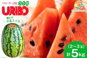 BE276 【令和8年度出荷分】小玉スイカ「うり坊」5kg（1.7kg以上×2～3玉） ～名水百選の里 島原産～