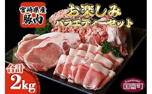 [宮崎県産豚肉 [お楽しみ]バラエティーセット 合計2.0kg]翌月末迄に順次出荷[b0387_ty]
