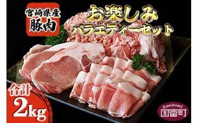 ＜宮崎県産豚肉 《お楽しみ》バラエティーセット 合計2.0kg＞翌月末迄に順次出荷【b0387_ty】