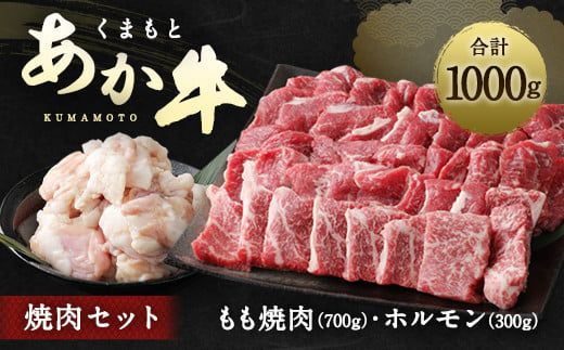 くまもとあか牛(GI) 焼肉セット 合計1000g 2種 モモ ホルモン