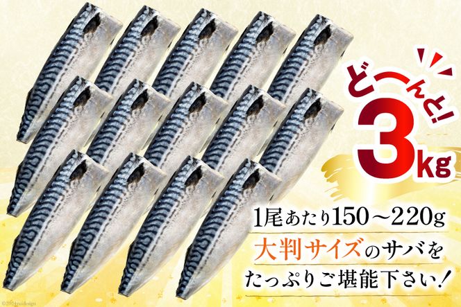 【CF01】訳あり 塩サバ フィレ 3kg [足利本店 宮城県 気仙沼市 20564146] 魚介類 魚 海鮮 大容量 サバ さば 鯖 サバフィレ サバフィーレ 鯖フィレ トロサバ 訳アリ 訳あり わけあり 切り身 冷凍