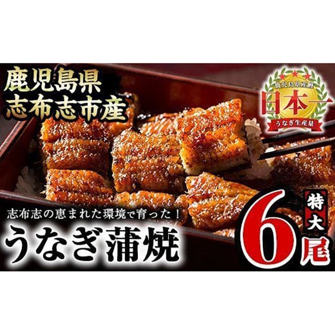 yuzuszȂ̑큃偄6Zbgv1kg(170g×6) d5-001