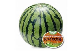 【先行予約】【ＪＡ】大栄西瓜「ドバイの太陽」秀3Ｌ×1玉 ※着日指定不可 ※離島への配送不可 ※2025年6月20日頃～7月中旬頃に順次発送予定