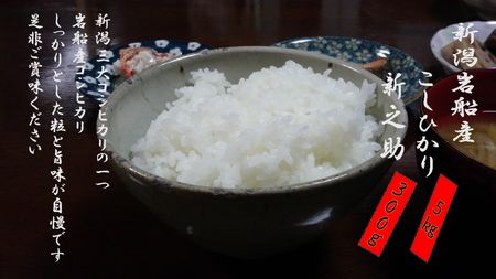 【新米受付・令和8年産米】  新潟県村上市岩船産 コシヒカリ5kg＆新之助300ｇ NA4032 米ソムリエ板垣謹製