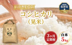 【3ヶ月定期便】【令和8年度米】【農家直送】「魚津のコシヒカリ（晃米）」5kg（白米） ｜新米 環境配慮 MK農産 お米 ブランド米 銘柄米 精米 ご飯 おにぎり 産地直送 甘み 旨味 香り ※2026年10月～発送