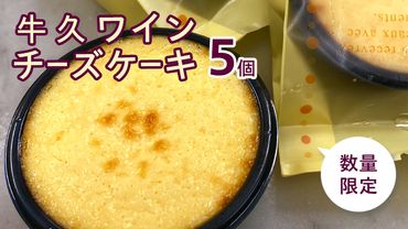 [ 数量限定 ] 牛久 ワイン チーズケーキ 5個 贅沢 スイーツ デザート ケーキ 白ワイン クリームチーズ 冷凍 [BX001us]