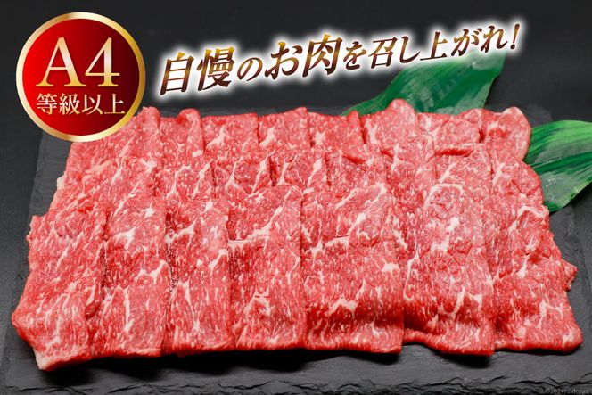 【A4等級以上】 肉 牛肉 宮崎牛 モモ赤身 スライス 600g [牛心フードサービス 宮崎県 美郷町 31bm0010] 冷凍 ブランド牛 赤身 もも モモ もも赤身