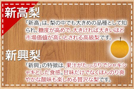 【日付指定不可】『清田果樹園』の原倉梨 約5kg 《9月上旬-10月上旬頃出荷》6-14玉前後 新高梨 新興梨 あきづき 豊水梨 熊本県玉名郡玉東町 梨【ふるさと納税】---sg_ckiyotanashi_ad9_r8_14000_5kg---