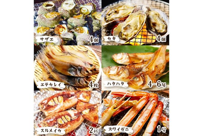 大満足！京丹後・海鮮BBQ　Eセット　豪華盛り合わせ　生ズワイガニ　付　6種21品（4～5人前）　YK00370