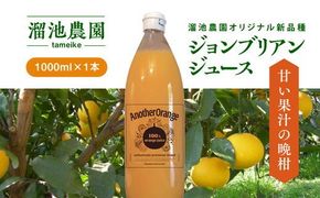 ジョンブリアンジュース（1000ml×1本） ｜ みかん 柑橘 清見 ジョンブリアン 果物 フルーツ みかんジュース 無添加 果汁100％ 贈答 ギフト 愛媛