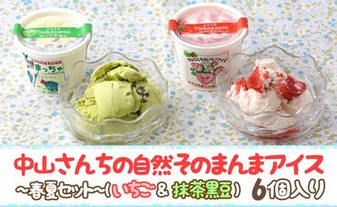 AE020_農家が考えたなめらかアイス6個（いちご&黒豆抹茶）／みやき町