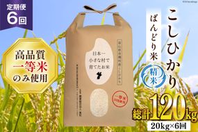 【6ヶ月定期便】【一等米100％】ばんどり米（コシヒカリ）精米 20kg（5kg×4袋） [農事組合法人東和 富山県 舟橋村 57050228]お米 白米 美味しい こしひかり 富山 農家