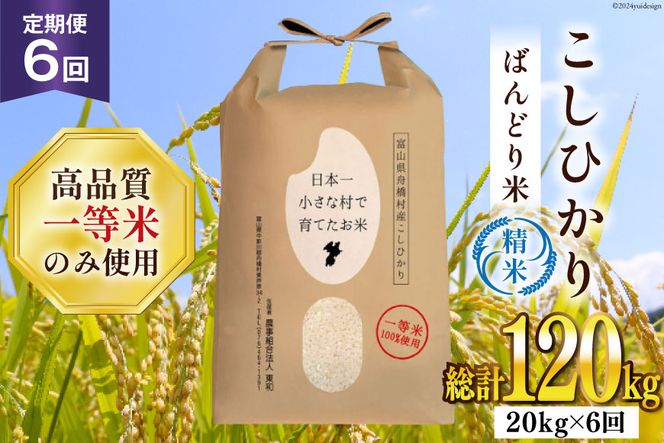 【6ヶ月定期便】【一等米100％】ばんどり米（コシヒカリ）精米 20kg（5kg×4袋） [農事組合法人東和 富山県 舟橋村 57050168]お米 白米 美味しい こしひかり 富山 農家