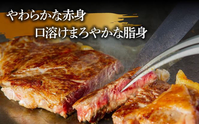 長崎和牛 サーロインステーキ 2人前（200g×2枚）/ 牛肉 ステーキ 長崎産 サーロイン / 南島原市 / ふるさと企画 [SBA031]