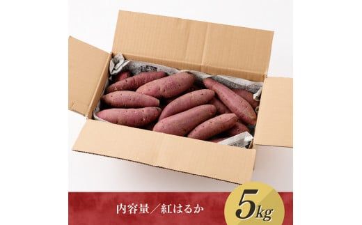 野菜 宮崎県産さつまいも　紅はるか5kg 【 宮崎県産 九州産 いも 芋 サツマイモ 野菜 】☆ [C10005]