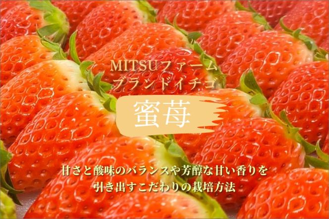 京都　冷凍いちご（あきひめ）約2kg　FM00009