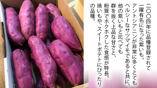 さつまいも 「 パープルスイートロード 」 5kg 紫芋 旬 甘い 芋 いも サツマイモ スイーツ 野菜[AM063us]