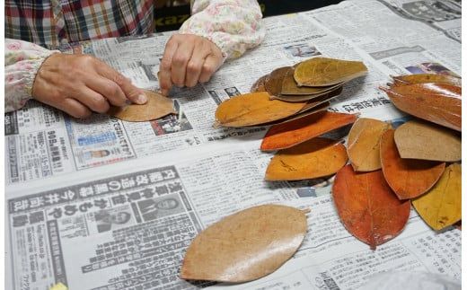 葉の器（中） /// 漆 漆器