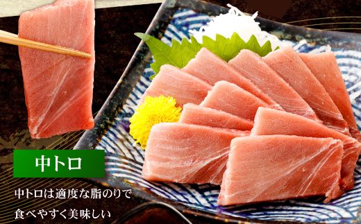 【 定期便 全３回 隔月 お届け 】まぐろの王様！天然本まぐろ味わいセット ２カ月に１回　合計３回  サク 柵 スライス 切落し セット 天然 天然まぐろ 天然マグロ まぐろ マグロ 鮪 刺身 お刺身 食べ比べ  高知 室戸 冷凍 小分け 便利 39,000円 送料無料 室戸 mgr all tk028