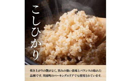 【令和6年産】永友農園産「こしひかり（玄米）」10kg（5kg×2袋）【 米 お米 精米 国産 宮崎県産 コシヒカリ 玄米 】[D10605]