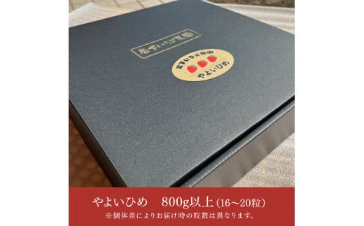 川南町産いちご「やよいひめ」計800ｇ【 先行予約 期間限定 果物 イチゴ 苺 フルーツ 】 [D09801]