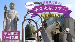 《 案内付き 》 非常階段で登る 牛久大仏 胎内 拝観 ツアー ※ 平日限定 ※ （ 5名様まで ） 貸切 体験 参加券 体験チケット 観光 [DR002us]