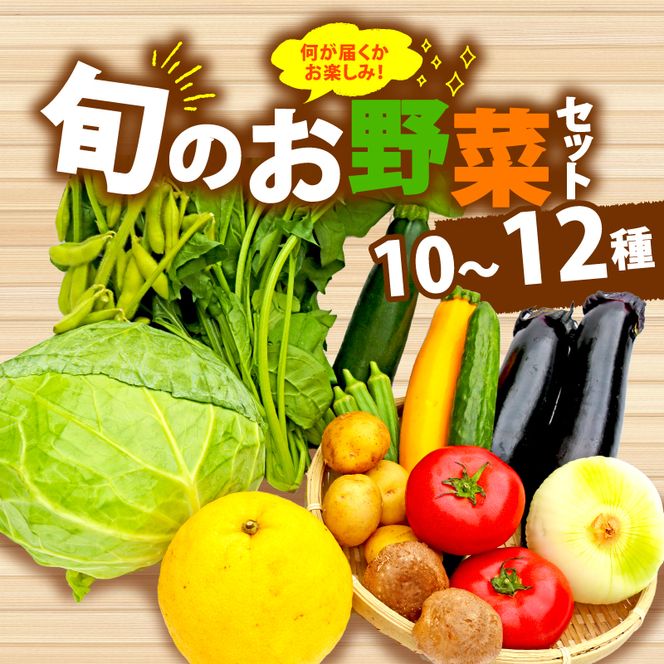 野菜 詰合せ 10～12種 おまかせ 旬 まんさいかん ボックス 静岡県 藤枝市 [PT0034-000012]