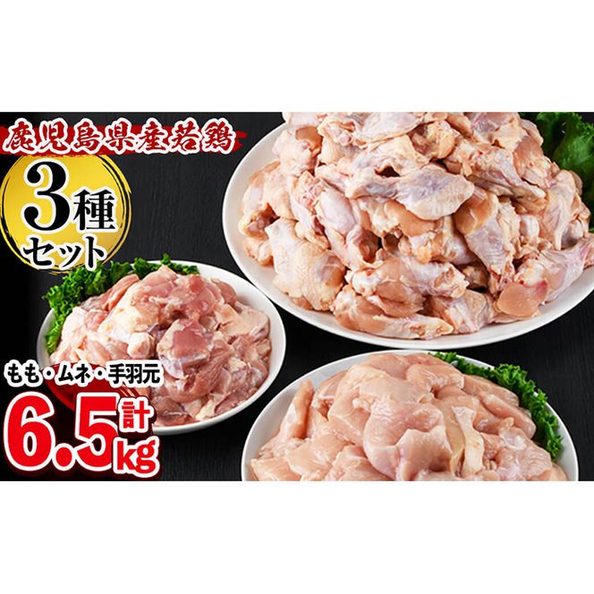 yuzuszY{3큃EނˁEHZbg v6.5kg a7-023