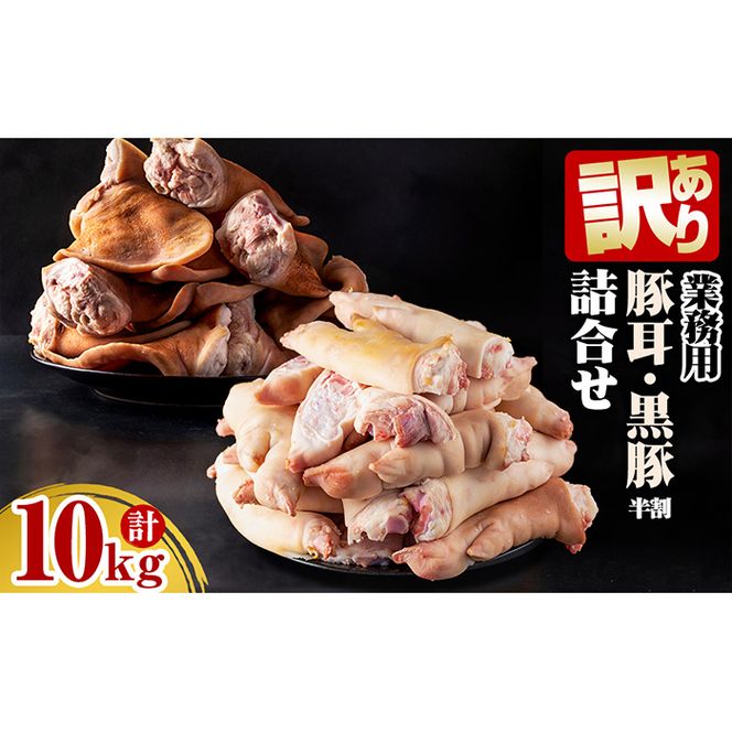 yuzuszy󂠂EƖpzyʌz؎Eؔliv10kgj a3-188