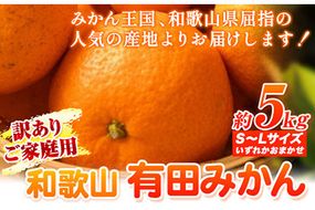 【訳あり】和歌山有田みかん5kg（S～Lサイズいずれかお届け） 厳選館《11月中旬-1月末頃出荷》和歌山県 日高川町 有田みかん みかん---wshg_tmt125_bc111_24_10000_5kg---