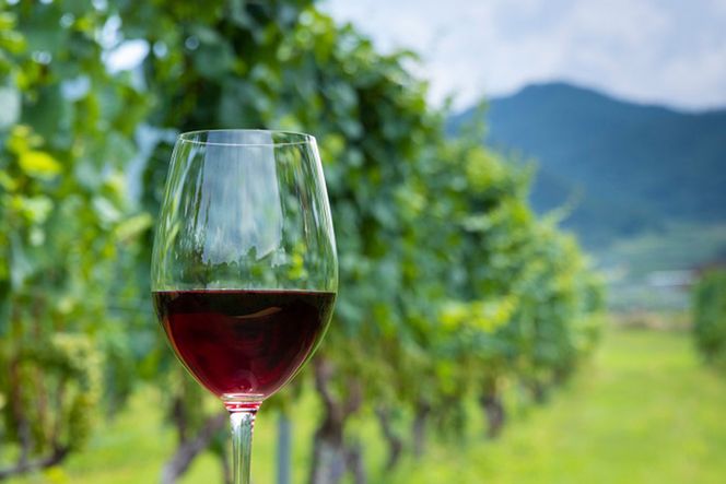 定期便 ワイン セット 穂坂マスカット・ベーリーＡ シングル・ヴィンヤード 750ml×2種×3回 酒 ワイン 赤ワイン / シャトー・メルシャン 勝沼ワイナリー / 山梨県 韮崎市 [20743312]