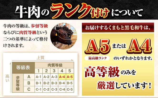 くまもと黒毛和牛 ウデ・モモ 赤身スライス切り落とし 500g 1000g 1500g 2000g 牛肉 冷凍 《30日以内に出荷予定(土日祝除く)》冷凍庫 個別 取分け 小分け 個包装 モモ スライス 肉 お肉 しゃぶしゃぶ すき焼き A5 A4---mna_fkkrgmuar_30d_24_7500_500g---