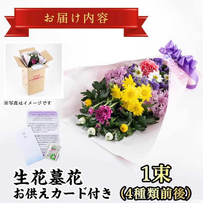 スプレーカーネーション(切花)◯農家直送◯母の日 - メルカリ