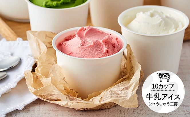 yɌs쒬z012AE01N.ACXN[lߍ킹i10j