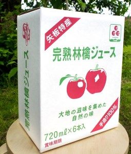 矢板市産 完熟りんごジュース《720ml×6本 2箱》｜林檎 リンゴ 果汁100% 産地直送  [0377]