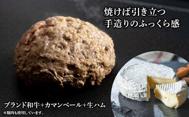 定期便３ヵ月 お楽しみ 北海道産 白老牛 カマンベールチーズハンバーグ 5個セット 冷凍 チーズ イン ハンバーグ BY112