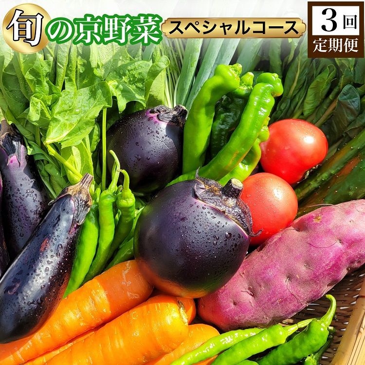 [3回定期便]旬の京野菜 毎月お届けスペシャルコース(全3回)≪京都 丹波 野菜 ふるさと納税野菜≫ ※沖縄・離島・諸島へのお届け不可