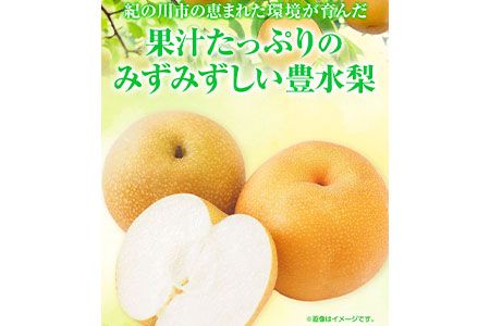 【先行予約】【令和7年発送分】和歌山県紀の川市産 の豊水梨 約4kg （約9玉～13玉）紀の川市厳選館 《2023年8月中旬-9月上旬頃出荷》 和歌山県 紀の川市 果物 フルーツ なし ナシ---wsk_gsk52_8c9j_24_19000_4kg---