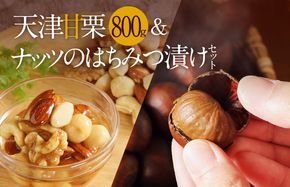 天津甘栗800g＆ナッツのはちみつ漬けセット 焼きたて 栗 くり 栗爪 殻付き お菓子 おつまみ 人気 高リピート 小分け 美容 健康 栄養豊富 H045-054