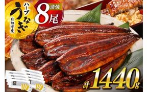 うなぎ 国産 蒲焼 ハーブうなぎ 8尾 計1440g以上 [鰻楽 宮崎県 日向市 452061245] ふるさと納税 1kg 以上 1キロ 蒲焼 ハーブうなぎ 冷凍うなぎ ウナギ 化粧箱 鰻楽 宮崎県産 炭火焼き 九州 たれ タレ 山椒 タレ付き 小分け