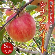 葉とらずりんご【シナノスイート】5kg　12個～16個入り【9月30日受付終了】 ※2026年10月～発送
