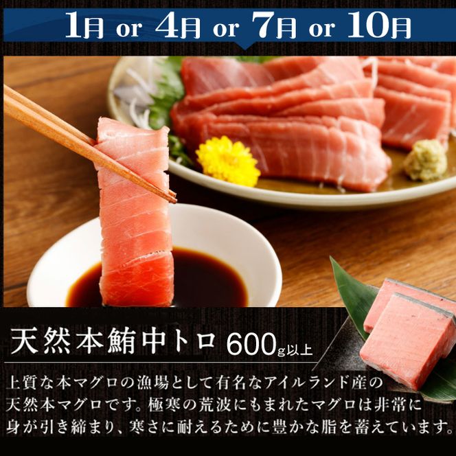 定期便 3か月連続 海からの贈り物！マグロとカツオの定期便 まぐろ マグロ 鮪  かつお カツオのたたき ネギトロ 中トロ 刺身 海鮮 鰹 冷凍 魚 海産物 魚介類 高知 まぐろたたき 藁焼き わら焼き 訳あり 不揃い 故郷納税 送料無料 室戸 all tk005