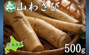 年内配送 12月15日まで受付 771. 天然 山わさび 500g前後 産地直送 薬味 肉 BBQ バーベキュー 焼き肉 送料無料 北海道 弟子屈町