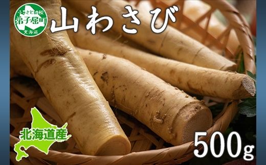 ykCqz3166. VR R킳 500gO Yn   BBQ o[xL[ Ă  kC q